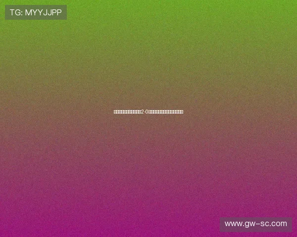 深圳新鹏城凭借精彩表现2-0战胜梅州客家迎来保级关键胜利