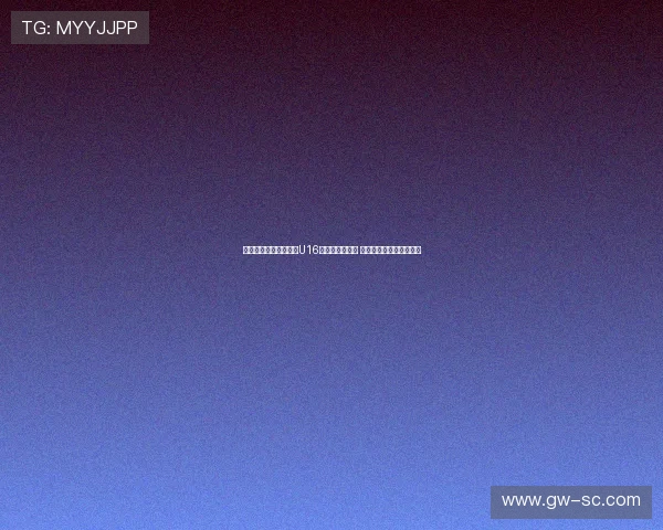 狼堡队长阿诺德与中国U16球员面对面交流 分享足球经验与成长心得